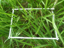 RO_325_2_1367B