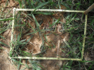RO_382_1_0342B