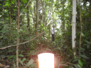RO_382_2_0348