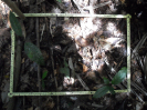RO_382_2_0357A