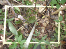 RO_382_2_0359B