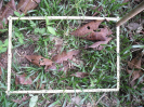RO_382_2_0362C
