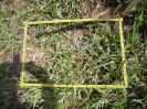 RO_392_1_446_C