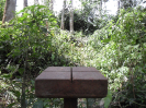 RO_392_2_454