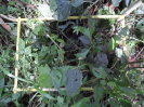 RO_392_2_456_B