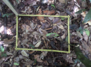 RO_40_1_2377A
