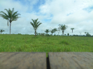 RO_414_0_1902