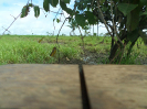 RO_414_1_1903