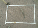 RO_417_1_1531D