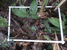RO_418_2_1670C