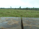 RO_419_3_1637