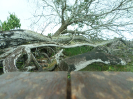 RO_419_4_1642