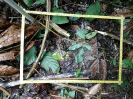RO_431_1_10_D