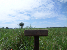 RO_437_3_1623