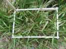 RO_437_3_1624A