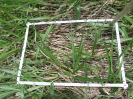 RO_437_3_1626C