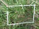 RO_437_3_1627D