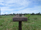 RO_437_4_1628