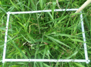 RO_441_2_1725C