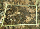 RO_449_3_1601C
