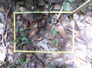 RO_456_1_2252B