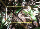 RO_456_1_2254D