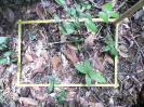 RO_456_2_2258C