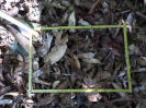 RO_45_1_2630A