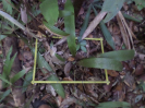 RO_45_1_2633D