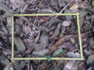 RO_45_2_2638D