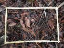 RO_480_4_1675