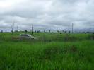 RO_484_3_4065