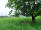 RO_484_4_4064