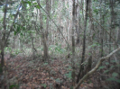 RO_487_1_4596
