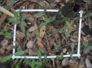 RO_487_2_4591_D