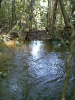RO_502_0086