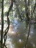 RO_502_0087