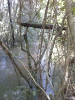 RO_502_0088