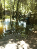 RO_502_0090
