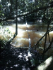 RO_502_0093