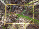 RO_528_1_10_D
