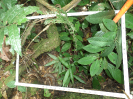 RO_538_1_2057_C