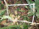RO_538_1_2058_D