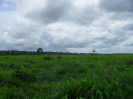 RO_574_0_4143