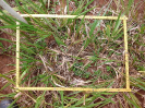 RO_574_1_10_D