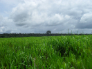 RO_574_1_4144