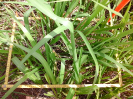 RO_574_1_9_C