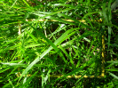 RO_58_4_610_B