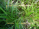 RO_58_4_611_C