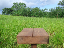 RO_591_2_2126